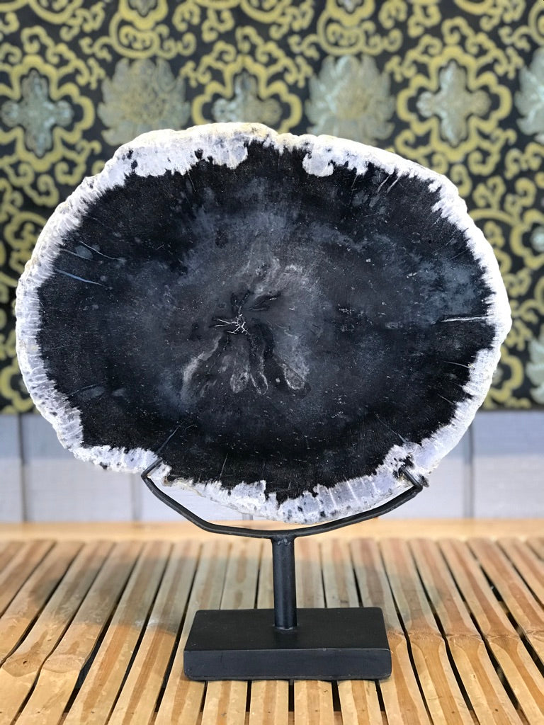 Petrified Wood Slice On Stand - Routes Gallery