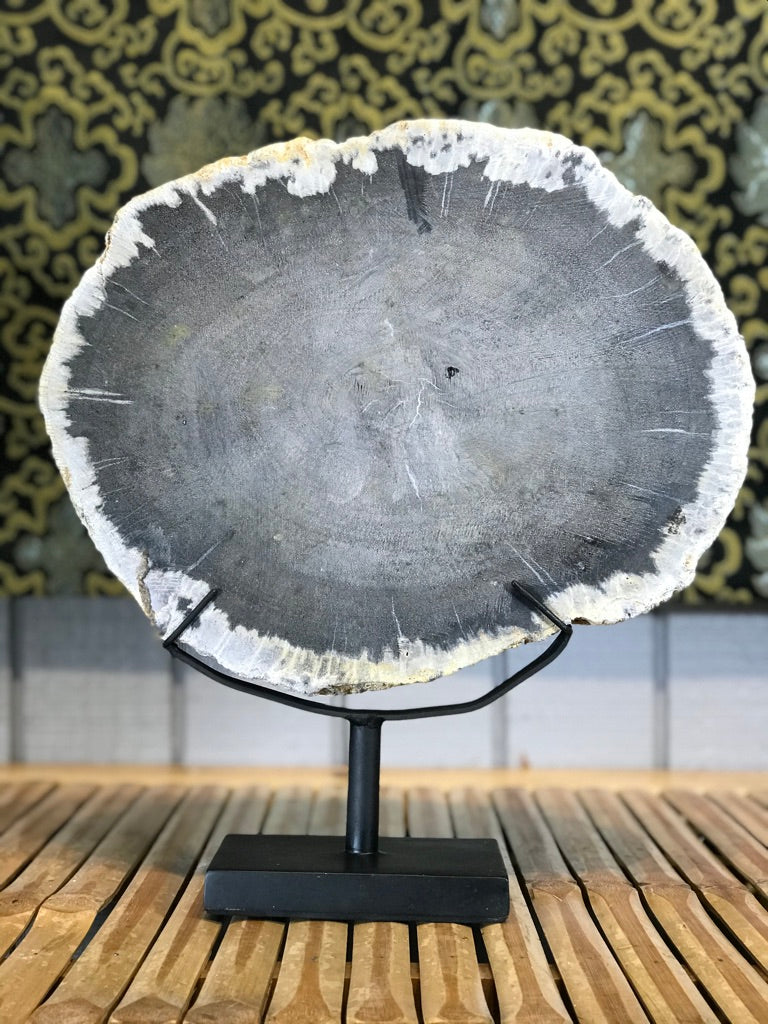 Petrified Wood Slice On Stand - Routes Gallery