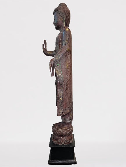 Wood Standing Abhaya Buddha Statue 68"