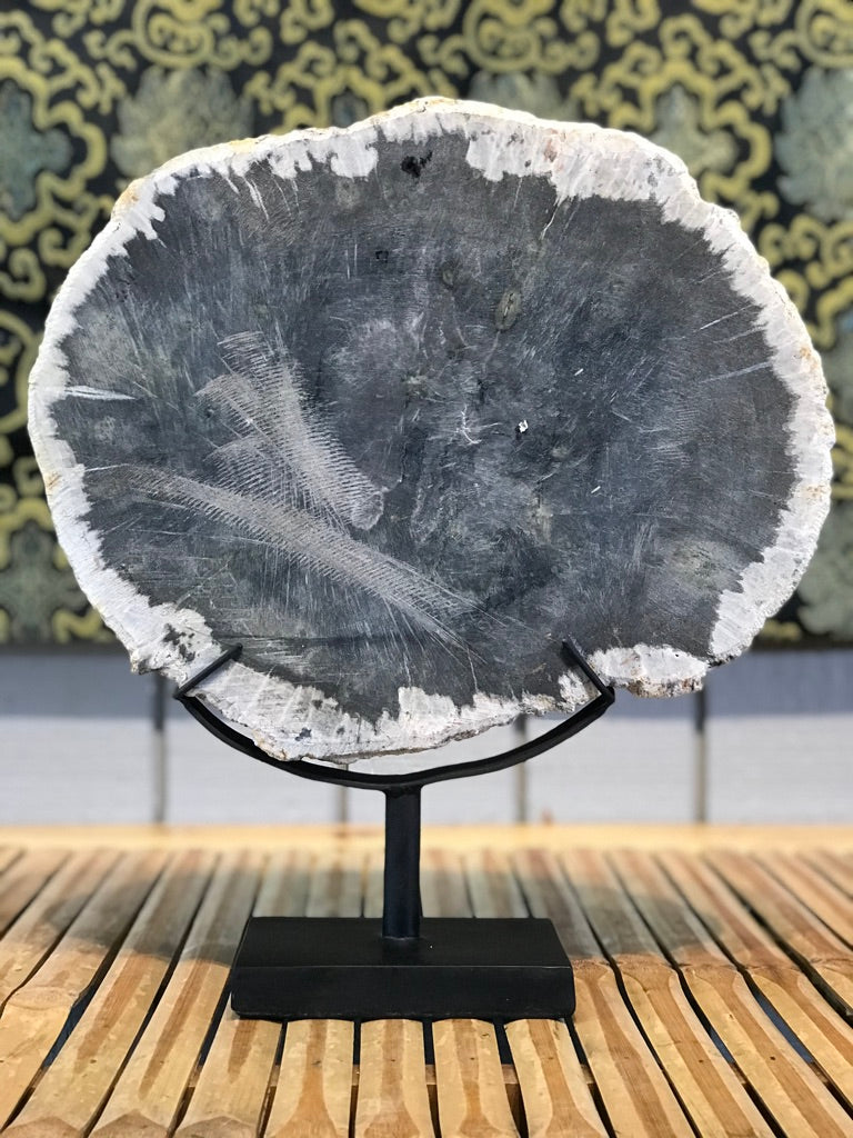 Petrified Wood Slice On Stand - Routes Gallery