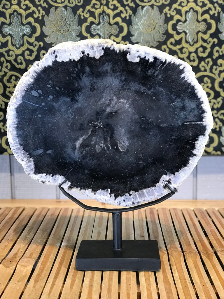 Petrified Wood Slice On Stand - Routes Gallery