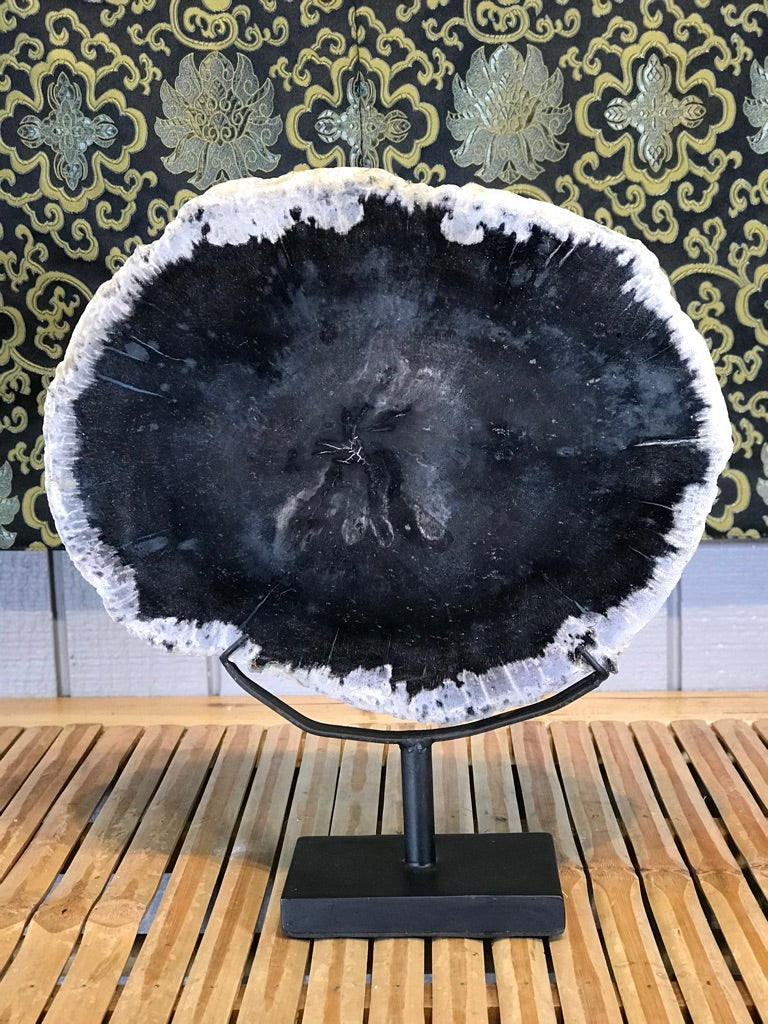 Petrified Wood Slice On Stand - Routes Gallery
