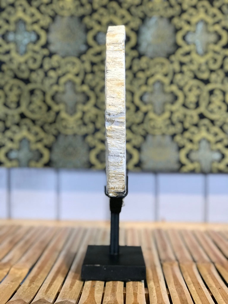 Petrified Wood Slice On Stand - Routes Gallery