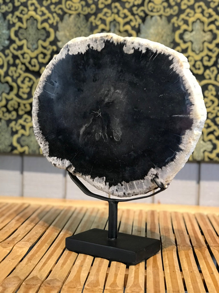 Petrified Wood Slice On Stand - Routes Gallery