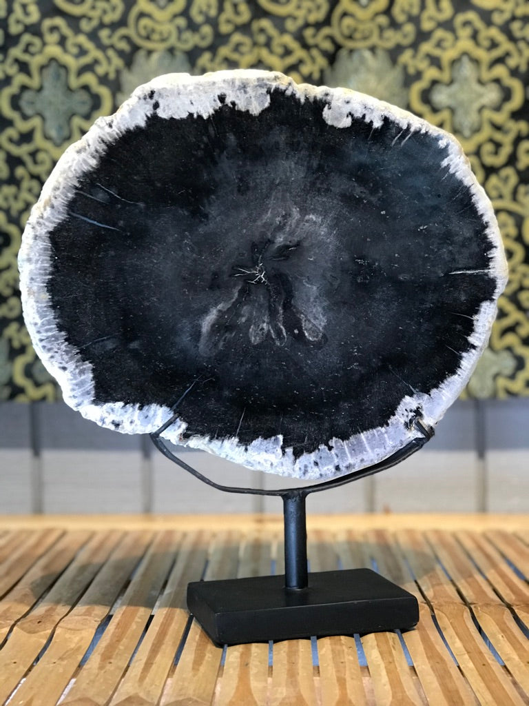 Petrified Wood Slice On Stand - Routes Gallery