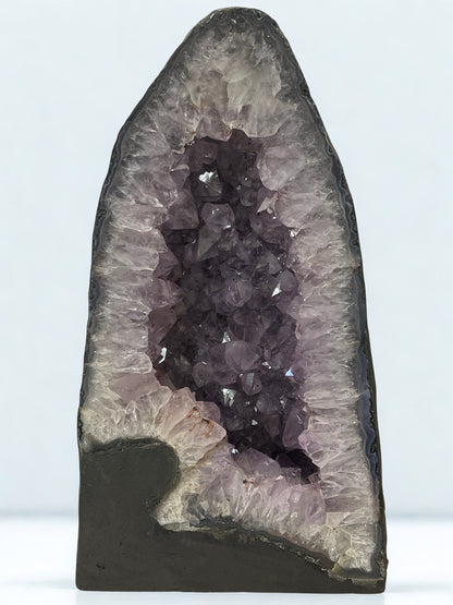Amethyst crystal formation in a dark gray geode against a white background