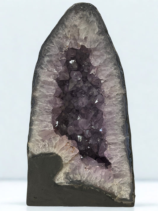 Amethyst crystal formation in a dark gray geode against a white background