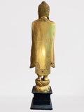 Wood Standing Abhaya Buddha Statue 48"