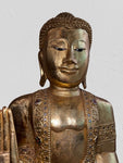 Wood Standing Abhaya Buddha Statue 48"