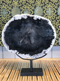 Petrified Wood Slice On Stand - Routes Gallery