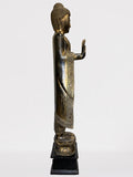 Wood Standing Abhaya Buddha Sculpture 68"