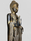 Wood Standing Abhaya Buddha Sculpture 68"