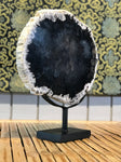 Petrified Wood Slice On Stand - Routes Gallery