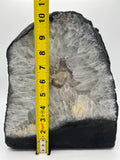 Quartz Crystal Geode 10.5"
