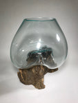 Glass & Teak Terrarium Vase Sculpture 13" - Routes Gallery
