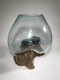 Glass & Teak Terrarium Vase Sculpture 13" - Routes Gallery