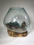 Glass & Teak Terrarium Vase Sculpture 13" - Routes Gallery