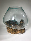 Glass & Teak Terrarium Vase Sculpture 13" - Routes Gallery