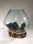 Glass & Teak Terrarium Vase Sculpture 13" - Routes Gallery