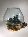 Glass & Teak Terrarium Vase Sculpture 12" - Routes Gallery