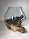 Glass & Teak Terrarium Vase Sculpture 12" - Routes Gallery