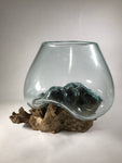 Glass & Teak Terrarium Vase Sculpture 12" - Routes Gallery