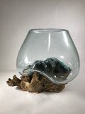 Glass & Teak Terrarium Vase Sculpture 12" - Routes Gallery