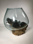 Glass & Teak Terrarium Vase Sculpture 12" - Routes Gallery
