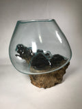 Glass & Teak Terrarium Vase Sculpture 12" - Routes Gallery