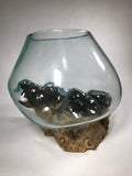 Glass & Teak Terrarium Vase Sculpture 12" - Routes Gallery