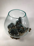 Glass & Teak Terrarium Vase Sculpture 12" - Routes Gallery