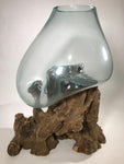 Glass & Teak Terrarium Vase Sculpture 16" - Routes Gallery