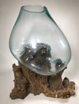 Glass & Teak Terrarium Vase Sculpture 16" - Routes Gallery