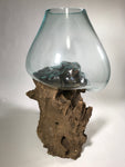 Glass & Teak Terrarium Vase Sculpture 16" - Routes Gallery