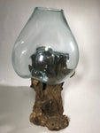 Glass & Teak Terrarium Vase Sculpture 16" - Routes Gallery