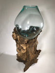 Glass & Teak Terrarium Vase Sculpture 28" - Routes Gallery