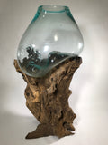 Glass & Teak Terrarium Vase Sculpture 28" - Routes Gallery