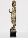 Wood Standing Abhaya Buddha Statue 48"