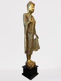Wood Standing Abhaya Buddha Statue 69"