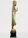 Wood Standing Abhaya Buddha Statue 69"
