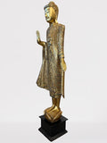 Wood Standing Abhaya Buddha Statue 69"