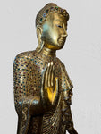 Wood Standing Abhaya Buddha Statue 69"