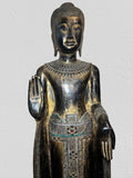 Wood Standing Abhaya Buddha Statue 70"