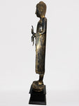 Wood Standing Abhaya Buddha Statue 70"