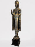 Wood Standing Abhaya Buddha Statue 70"