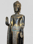Wood Standing Abhaya Buddha Statue 70"