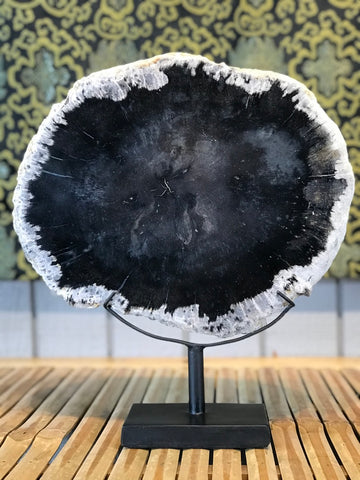 Petrified Wood Slice On Stand - Routes Gallery