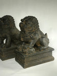 Foo Dog Lion Guardian Statue Pair 10" - Routes Gallery