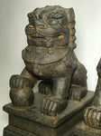 Foo Dog Lion Guardian Statue Pair 10" - Routes Gallery