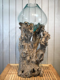 Glass & Teak Terrarium Vase Sculpture 33" - Routes Gallery